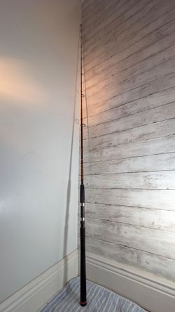 Penn Squadron 2;  7' Rod