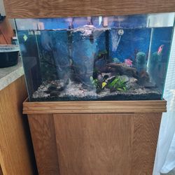 20g Fish Tank And Stand
