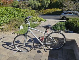 Schwinn Voyager Size Large