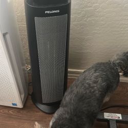 Pelonis Space Heater