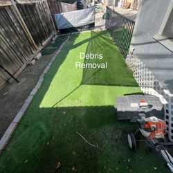 Turf Refresh / Turf Maintenance / Turf Cleaning 