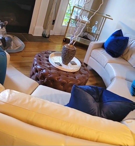Leather Sectional