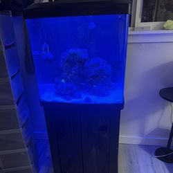 Coralife LED Biocube 32 gallon Saltwater Aquarium w/ stand and add ons 