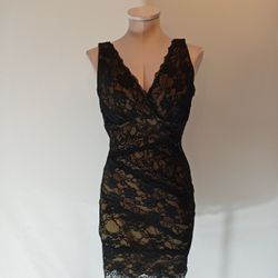 NWT Windsor Nude And Black Lace Dress  