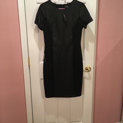The Limited Dress