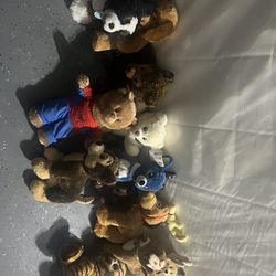 Stuffed Animal Lot