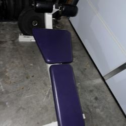 Bench
