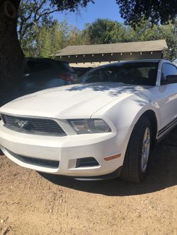 2010 Ford Mustang