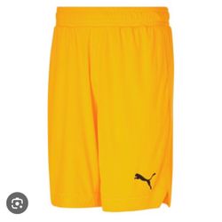 Puma shorts