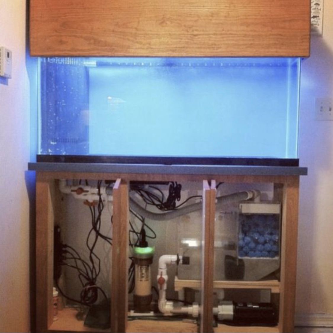 fish tank, system and furniture (55 gallons)