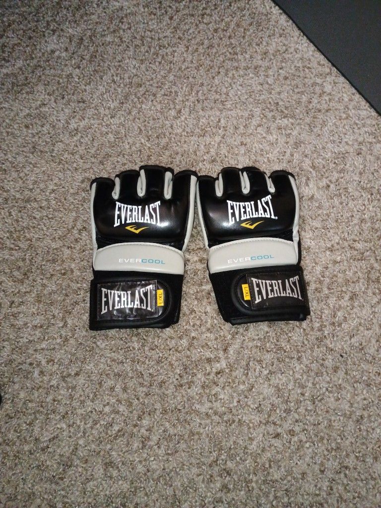 MMA Gloves L/XL Everlast