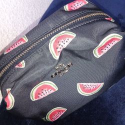 Coach Boxy Watermelon Cosmetic Bag