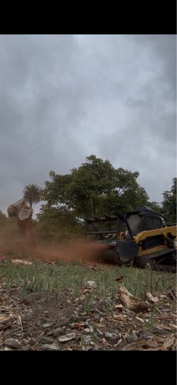 Forestry mulching