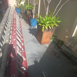 32 Ft. Warner Ladder