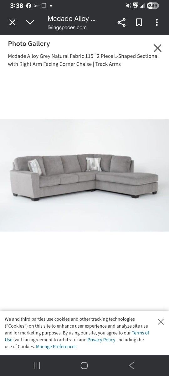2 Piece L Shape Sectional Couches