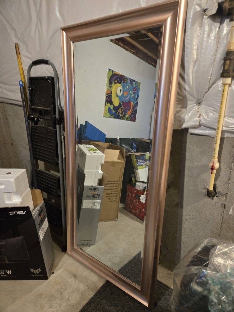 32x64 Rose gold framed Mirror