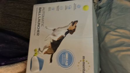 Automatic Dog Ball Launcher by Momentu