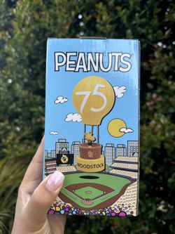Peanuts Woodstock