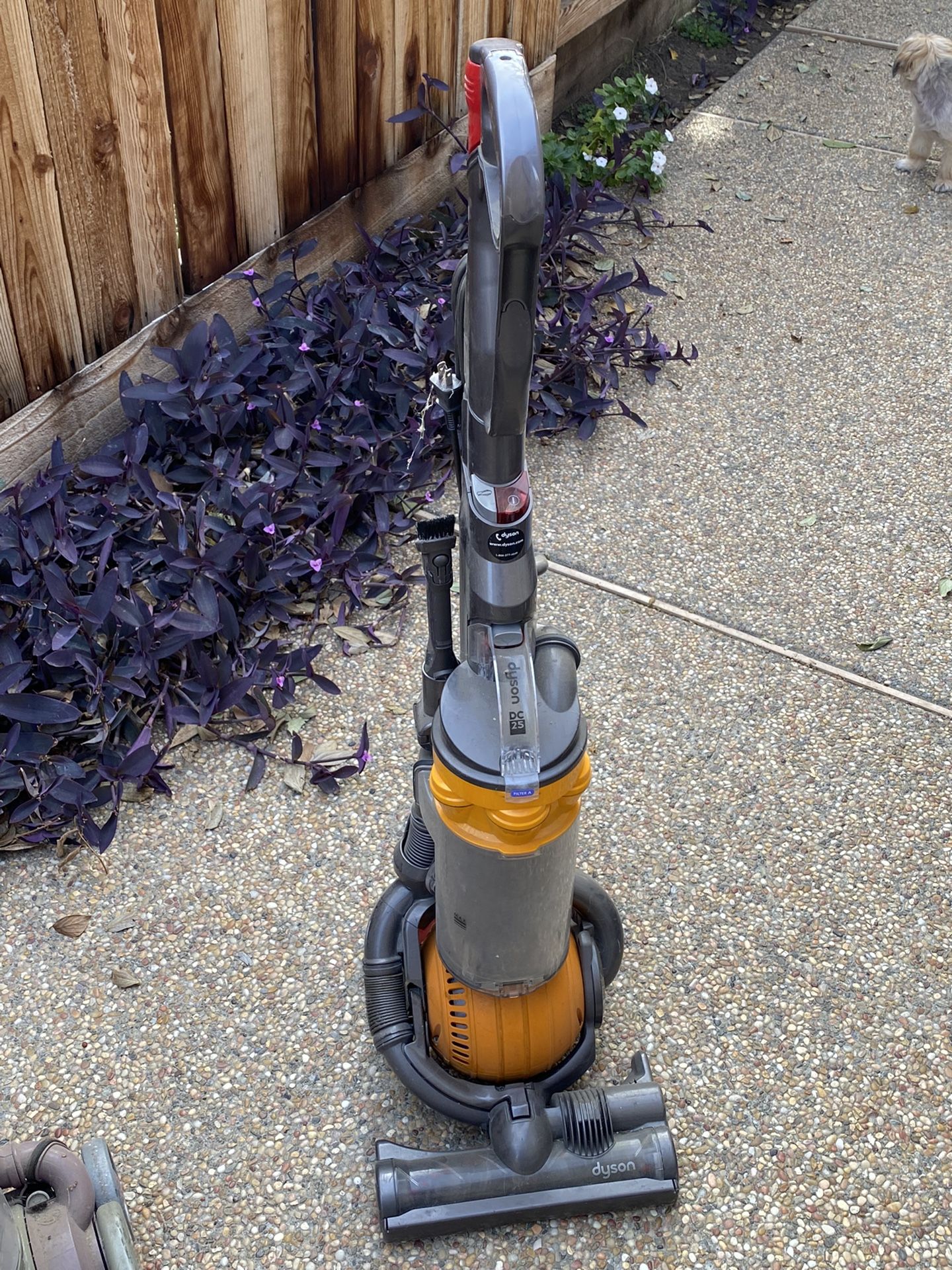 Dyson Ball Vacuum (Yellow)