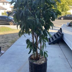 Beautiful Extra Large 6.5 Artificial Trees 