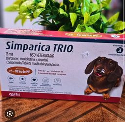 flea and tick