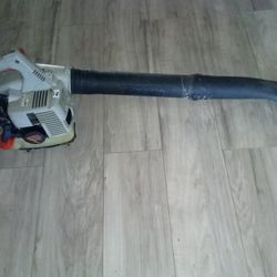 Echo Blower 