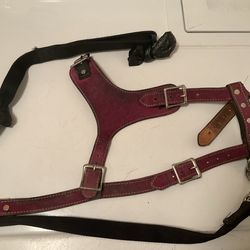 Leather dog harness