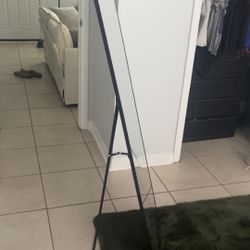 Full Body Mirror With Stand