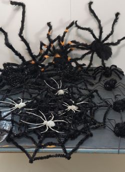 Lots Of Various Spiders