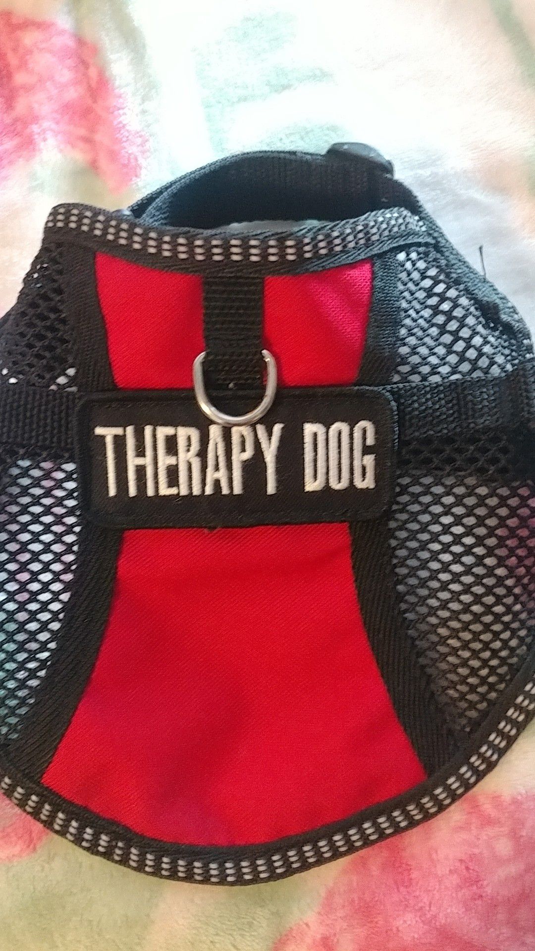 Small Therapy Dog harness