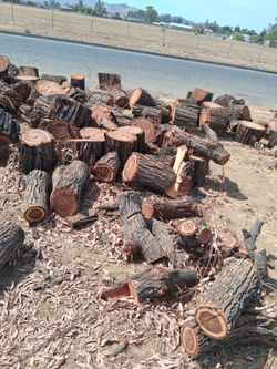 Madera  de ocalito