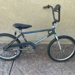 Old School Survivor OG 20” BMX 70’s 80’s Huffy Pro Thunder Bike