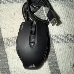 Mouse