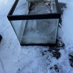 20 Gallon Reptile Tank( No Lid) $20
