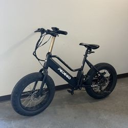Pedego Element
