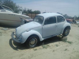 74 bug