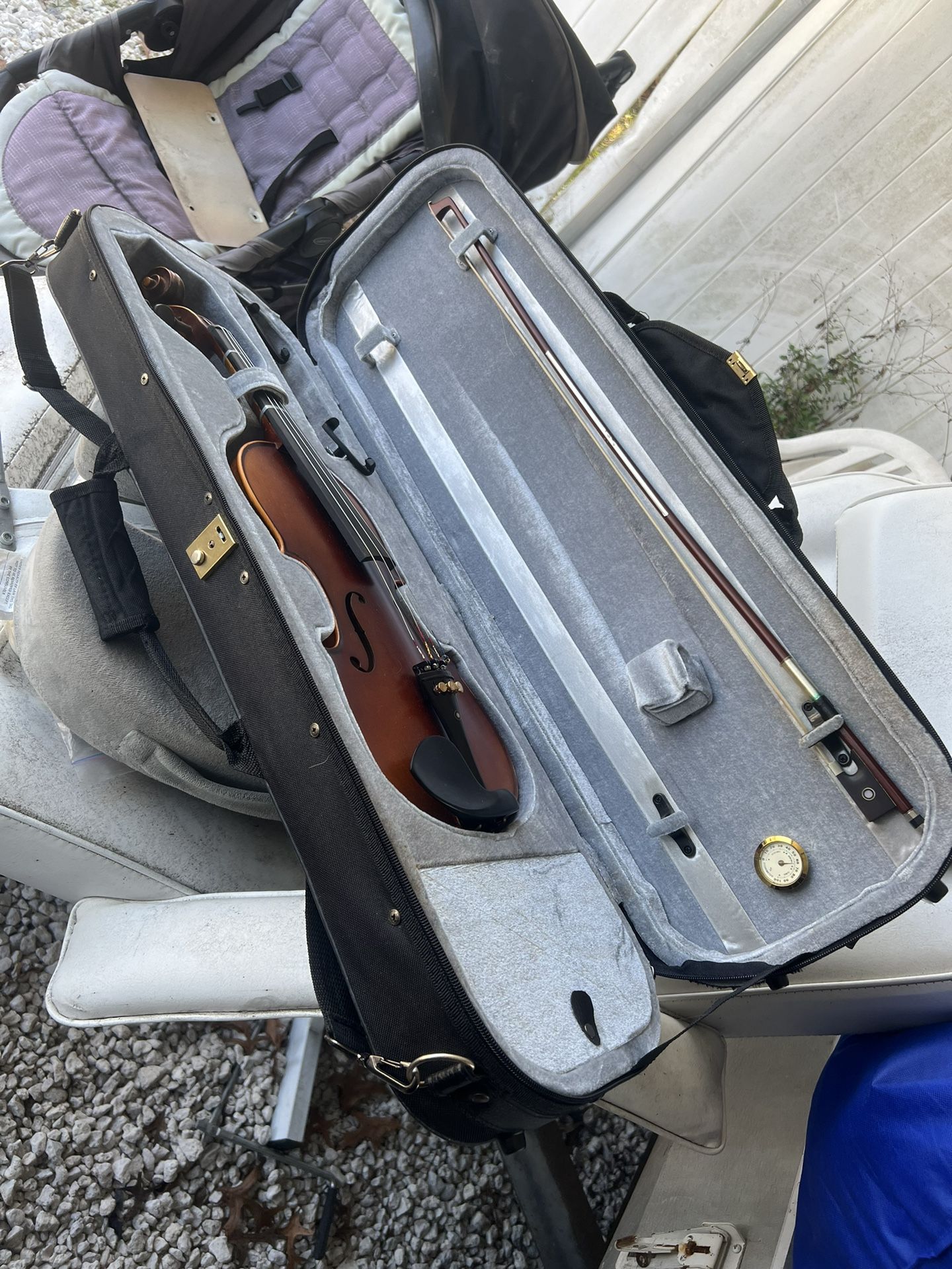 Violin