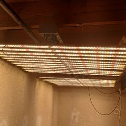 PLANT GROWING  LIGHTS