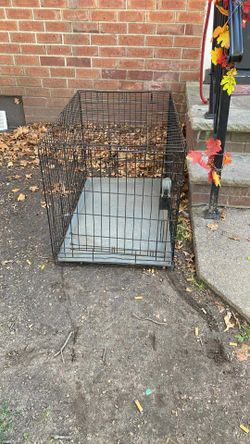 Dog Cage