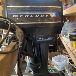 1978 Mercury 7.5 H.P.