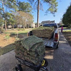 St Agustine Grass Pallets