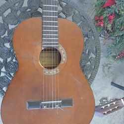 Acoustic Guitar 