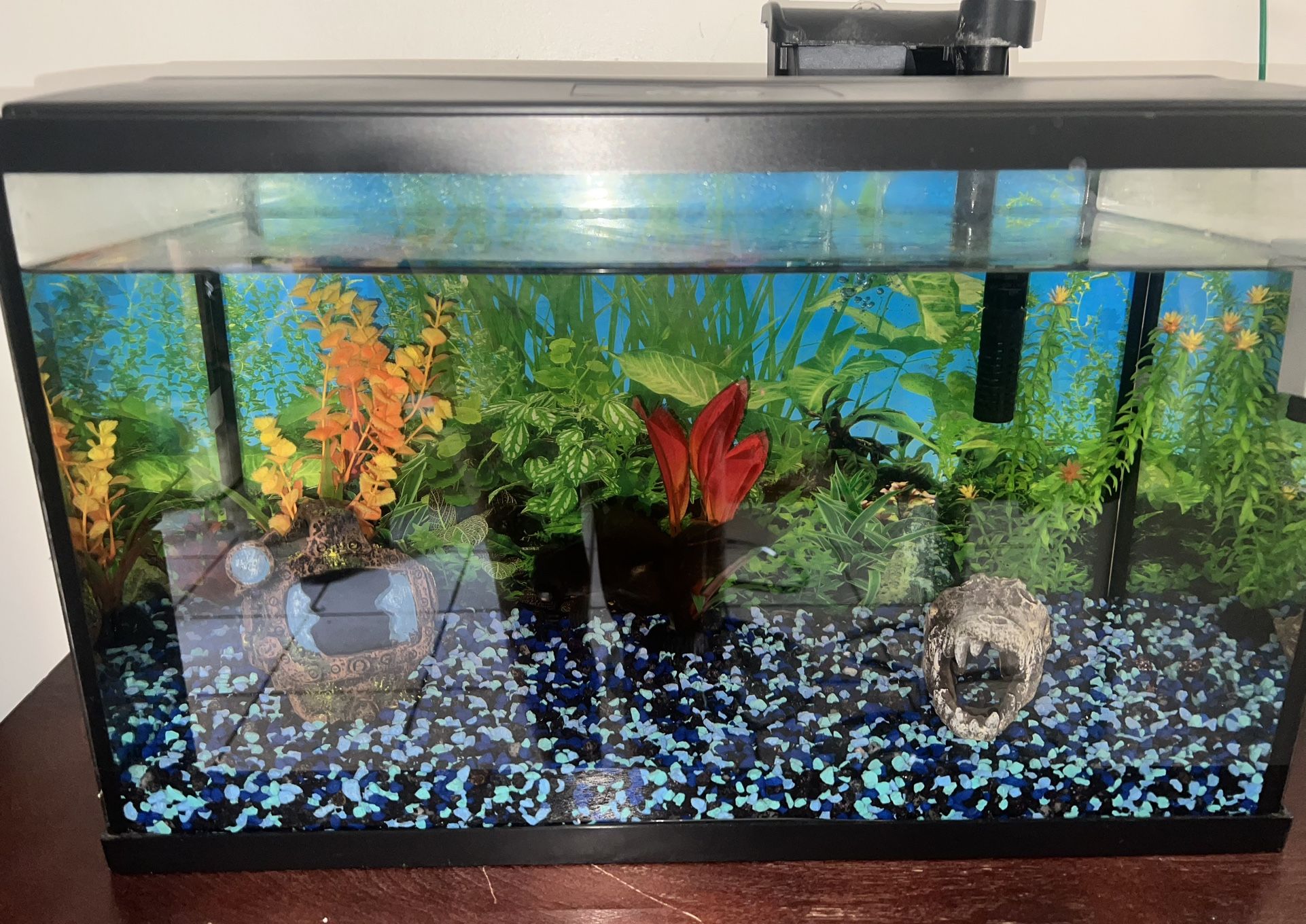 Fish Tank