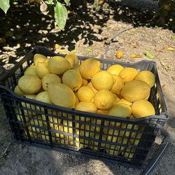 Lemons