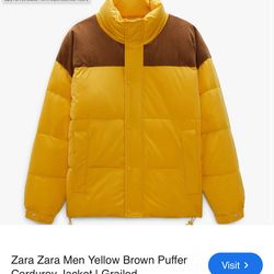 Zara Men Yellow Brown Puffer Corduroy