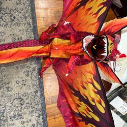 Large Dragon Kite Will Go Fast