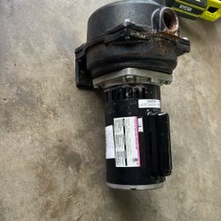 Wayne 1.5 HP Cast Iron Lawn Sprinkler Pump