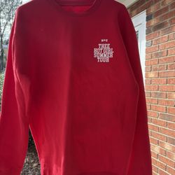 Megan Thee Stallion Sweatshirts new