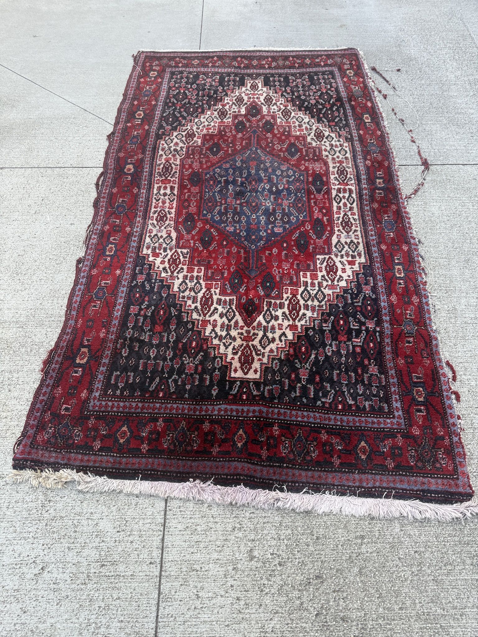 Oriental Rug 