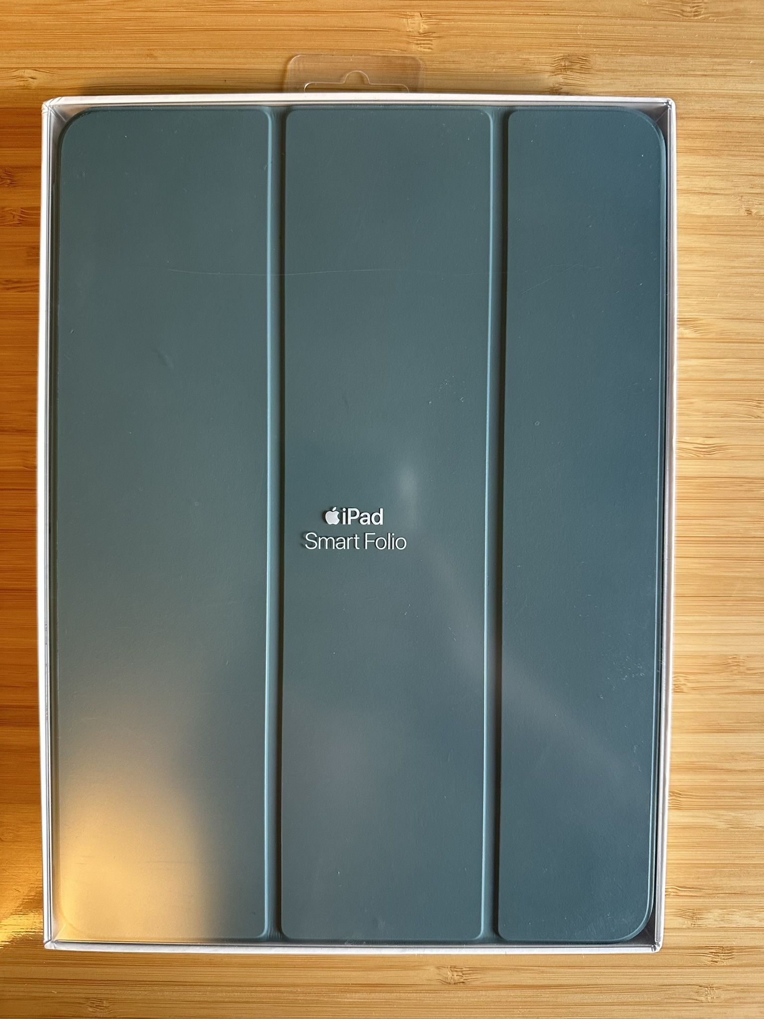 iPad 11" Smart Folio (Cactus)